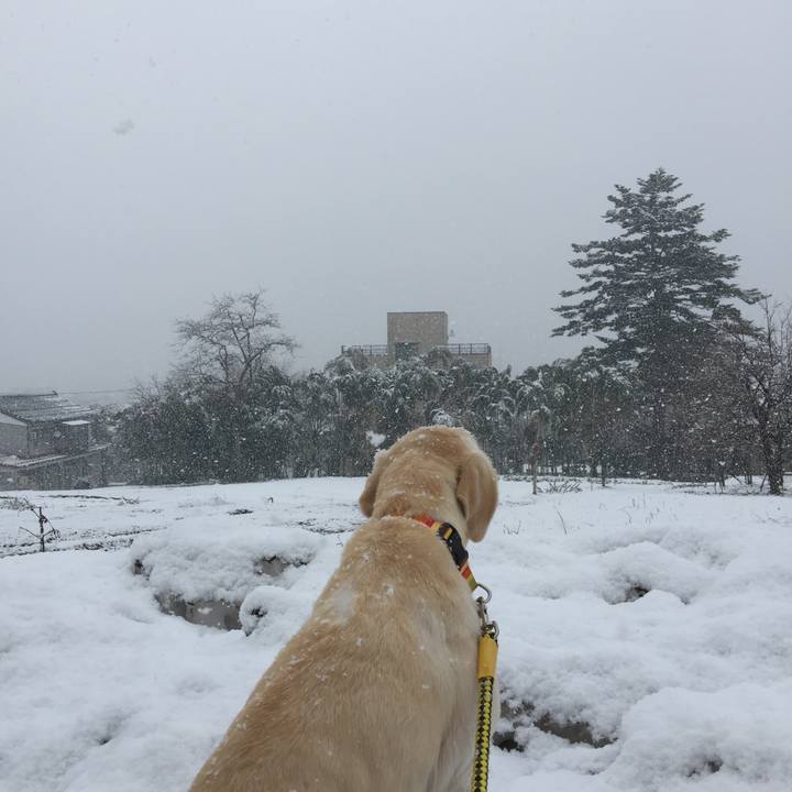 Cc2630cd 56d4 4c89 ade1 1de1f97cb60f