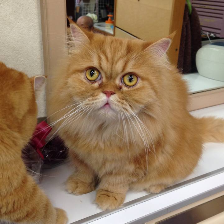 Cc26688d e226 4f78 84ed 6daf692f766e