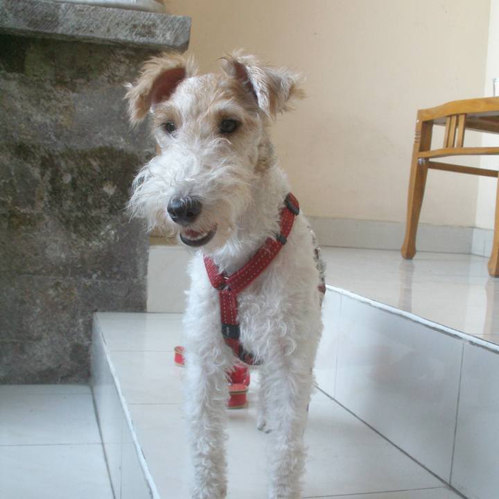 Cc271d8b 18a0 49f8 a683 d1b68049abf5