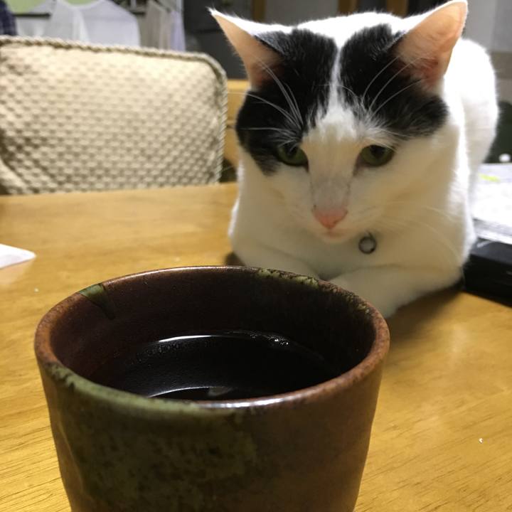 Cc274ddf 49fa 407e a94c 6b5db8c36136