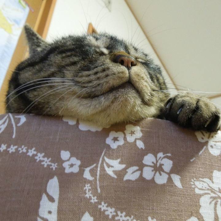 Cc2782d1 6054 4127 a20f a5f8e7f9fbc9