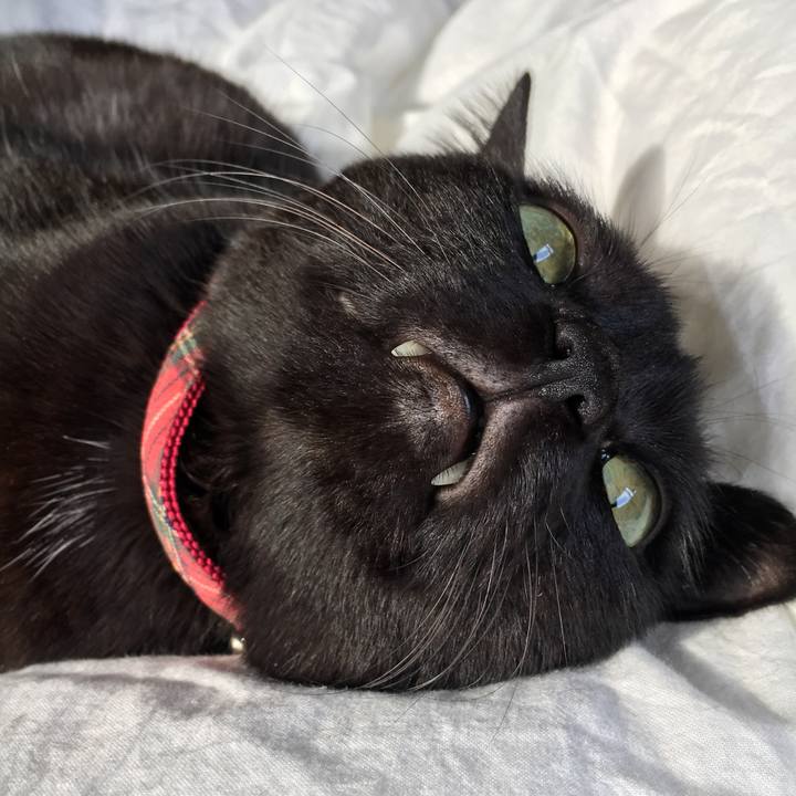 Cc2a4210 7173 436d a1d2 321ef6a431d2