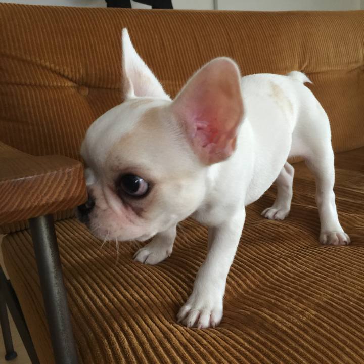 Cc2b3ab5 2889 4d64 9524 14898cc256af