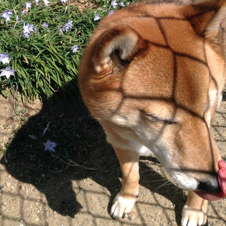 Cc2b88c7 332d 41ac bdb6 c94be049730c