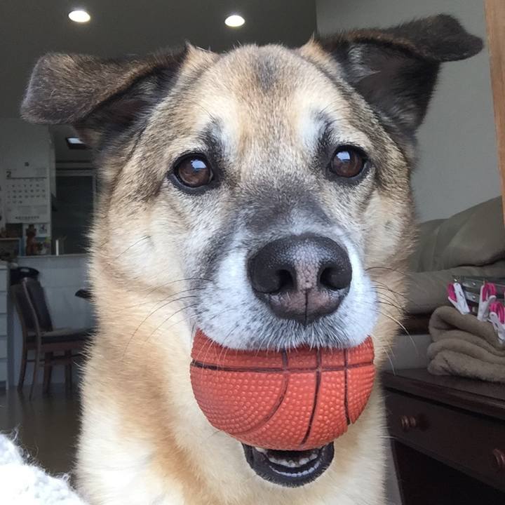 Cc2b931f 6882 492b bb84 df0293e6b694