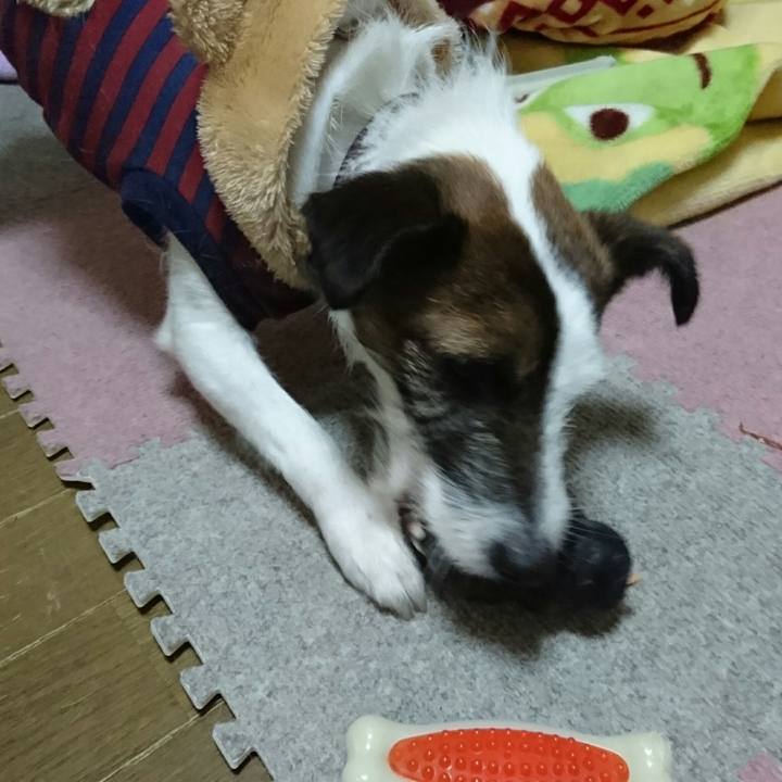 Cc2b9838 377e 48b5 8c0d 64054396fba7