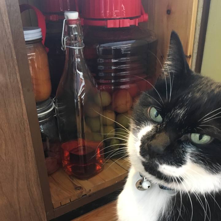 Cc2c7406 1488 46ab 8b27 a6b7ad48dc0d