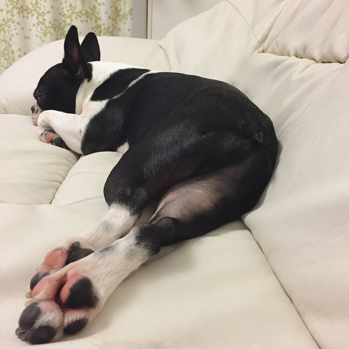 Cc2d1cba 6fa1 4b4f 9705 b750bebeb900