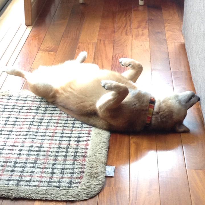 Cc2d8efe 77b7 4b4b 866d 4e2bba3cd81b