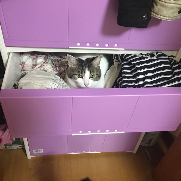 Cc2da27f f031 43c4 b998 b7f42445b341