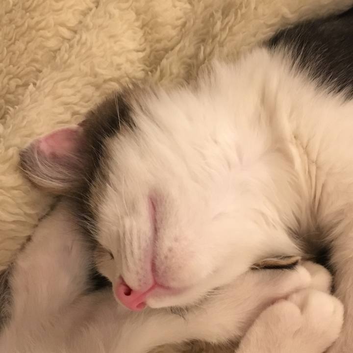 Cc2db210 db17 4f26 89d7 55c90471659b