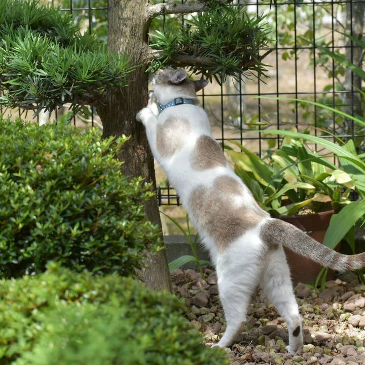 Cc2e123a 4e31 46ee be04 13b620cf6937