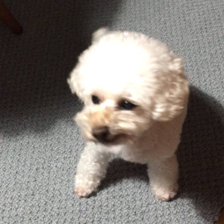 Cc2f33f2 f10a 4264 ab60 ee9154ae4d7b