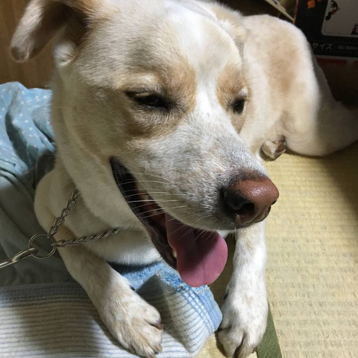 Cc2f40fc e73e 435e b38f a95f3eea0418