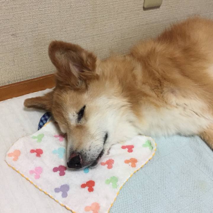 Cc2f50cc 40fe 4f68 a843 43c129b37ec7