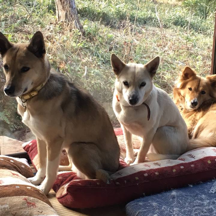 Cc2f6687 338b 47c7 a27e 00ec984373c9