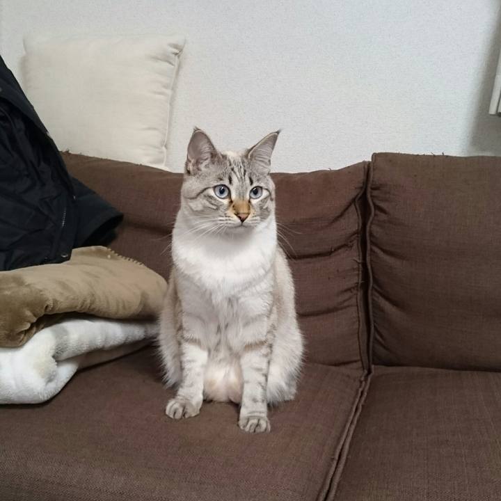 Cc2fd4d4 5190 4b8a 876d 947d307e1ebc