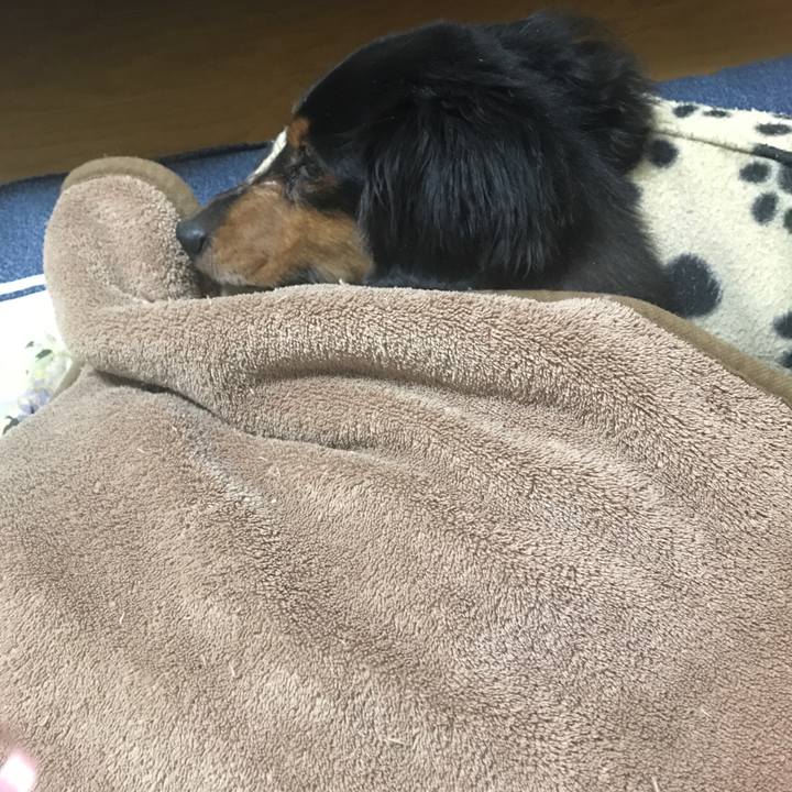 Cc302ab5 4e42 4e41 bf27 c4e132373ab2