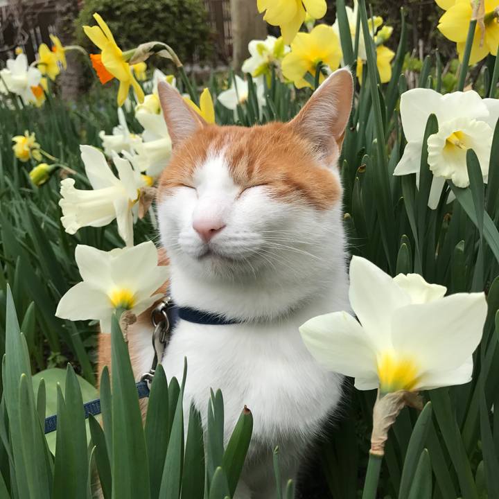 Cc30366e f389 44a2 84a3 a3f1134c93b9