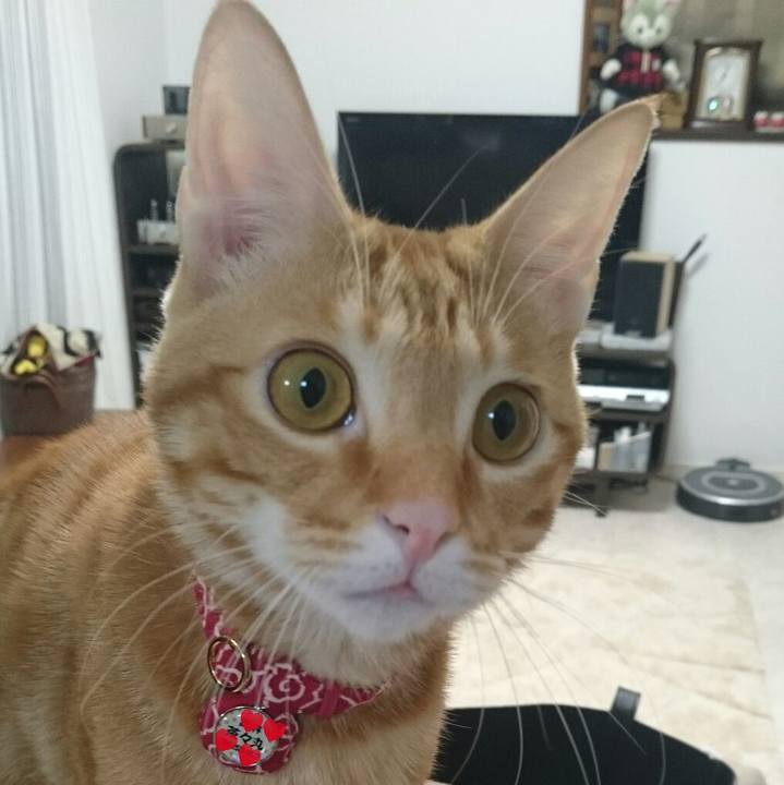 Cc3218bc a9bd 41b6 a35f bb82f0e6c984