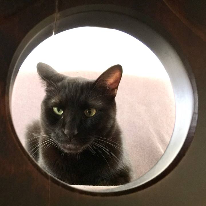 Cc33901b b14f 449d b6f0 46525a2c8f3f