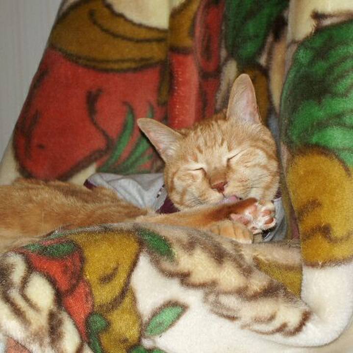 Cc339714 0f3d 4f75 bcca c91c96b751c5