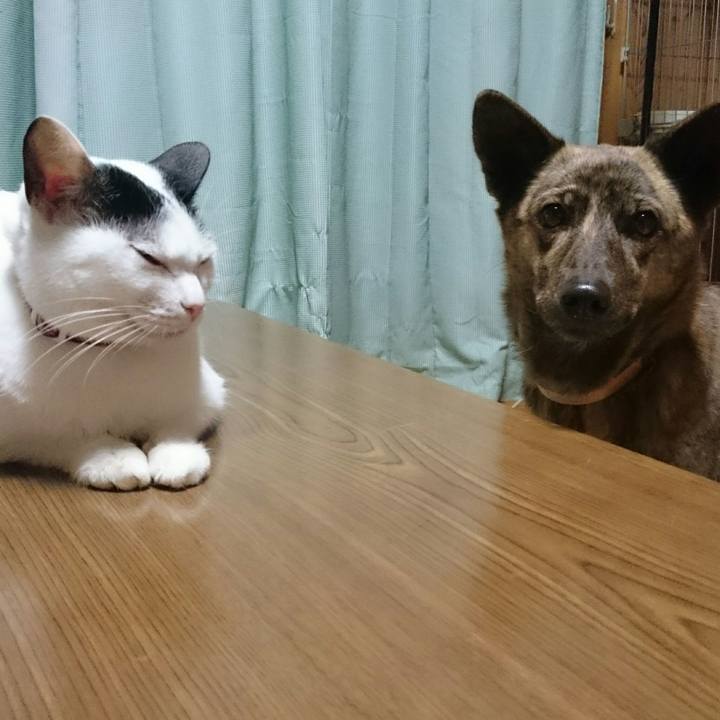 Cc33f595 10b9 4339 9211 e397b31149ef