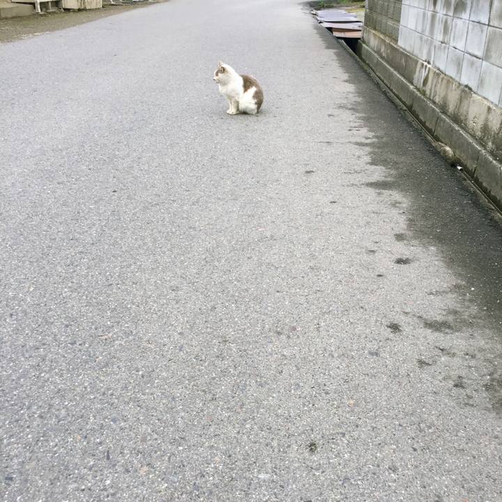 Cc34989d bede 4d7f 8ef8 cb90bf14c183