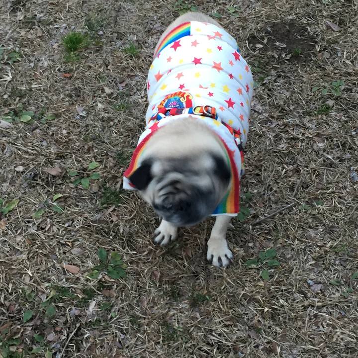 Cc34f3e9 27ac 4140 936f 4111c80c40f8