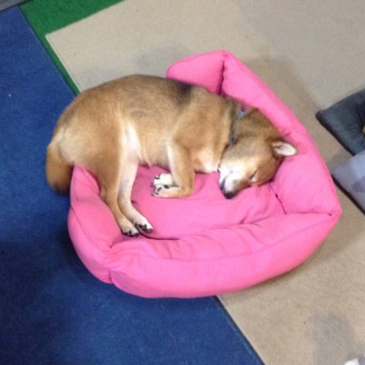 Cc35bfee a766 4fa2 b33f 1ab2e9cc9b7b