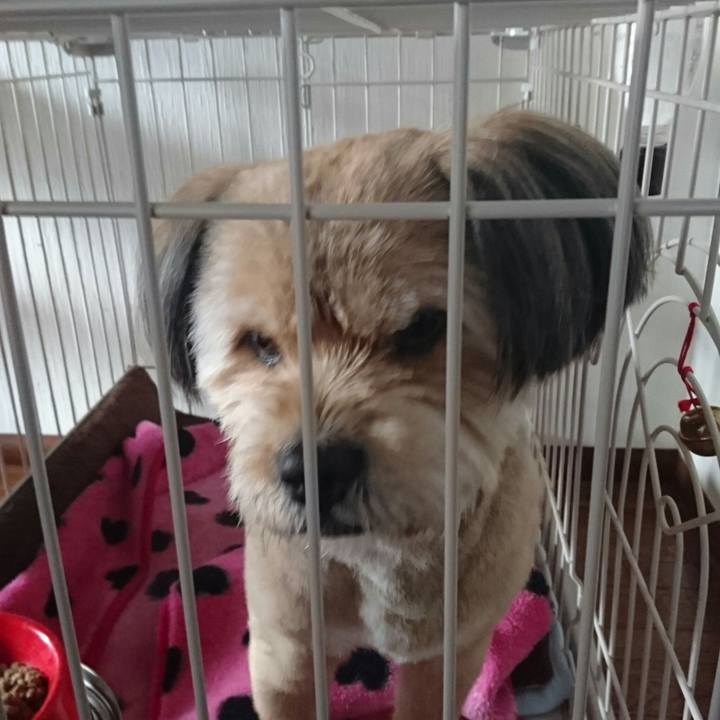 Cc35cd0f cbdf 49fe b8dc bc9a0c4b0001