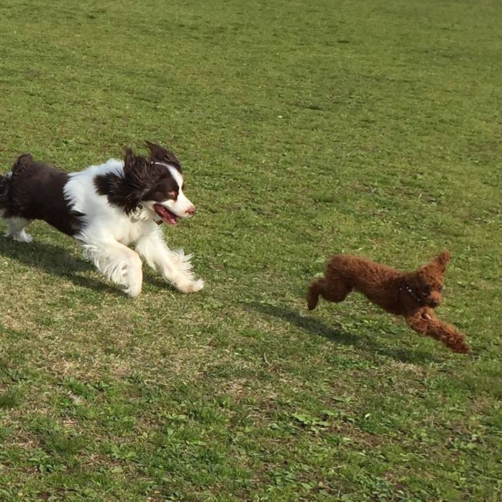 Cc35fc3e 6653 4ada 9ae8 a6d311738722