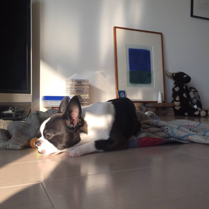 Cc360746 ea95 444f 907a 2f86bad1100e