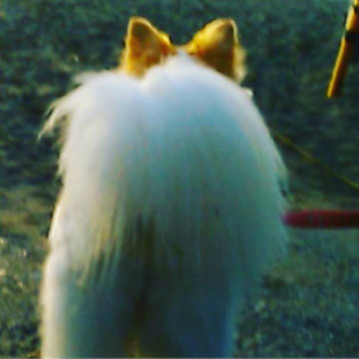 Cc36559d f857 425f bc03 060641e2c833