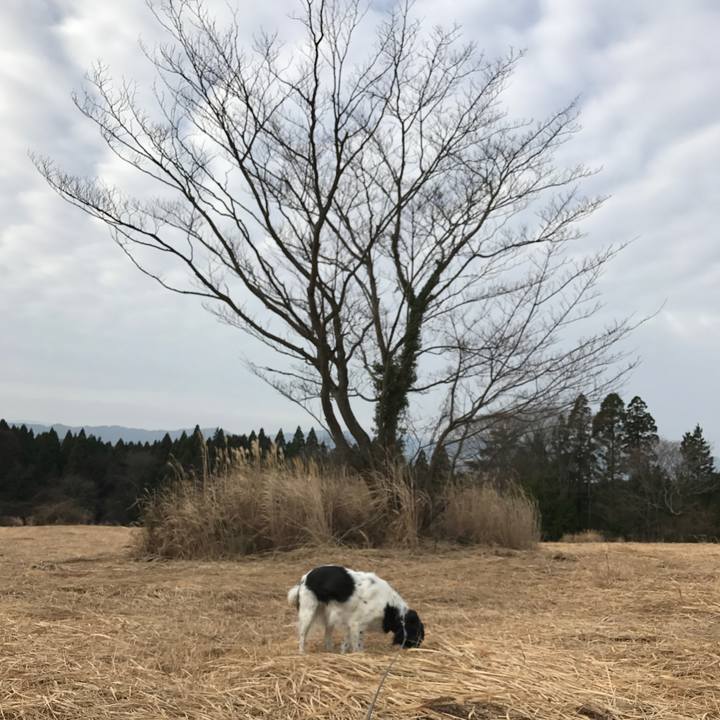 Cc36716a 7a0a 4fbb 98dd 2ff1ef5d9397