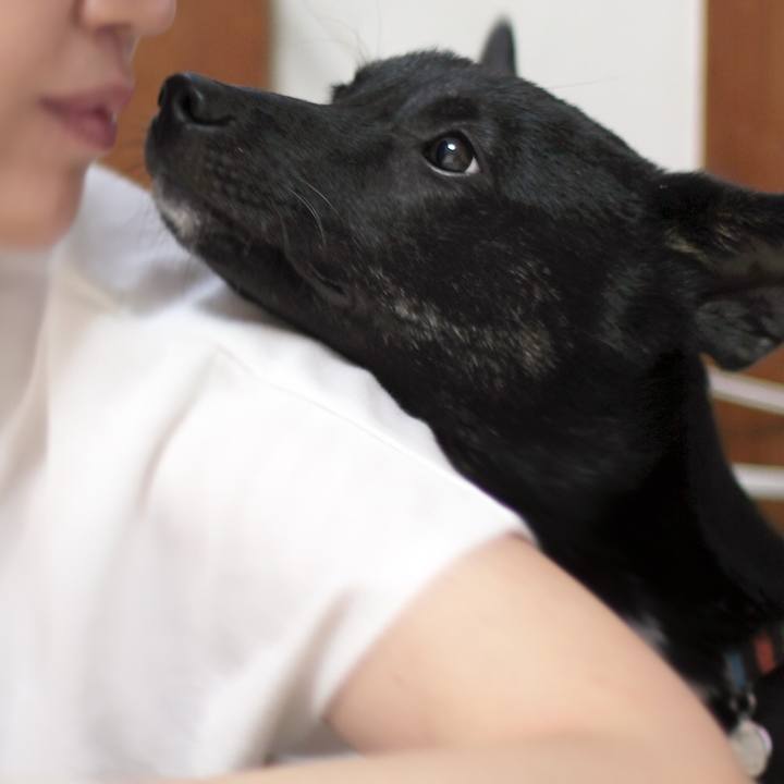 Cc367788 cfa6 4338 b850 a54e59519d1d