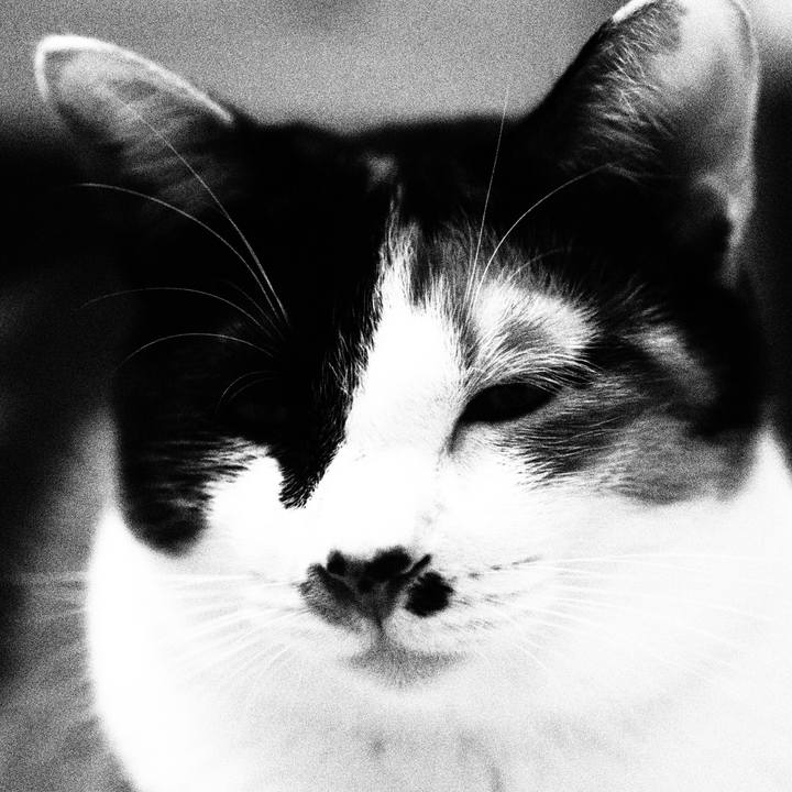 Cc37a0cf d933 4300 adb4 fef36fedc08c