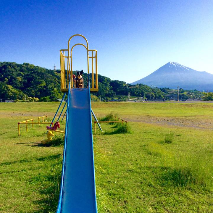 Cc37dc7d 8593 486b 8ec5 f01df4d76068