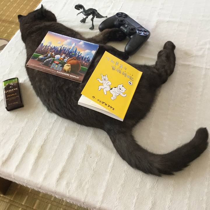 Cc3814b4 f8a6 440b b98a 1cded2379703