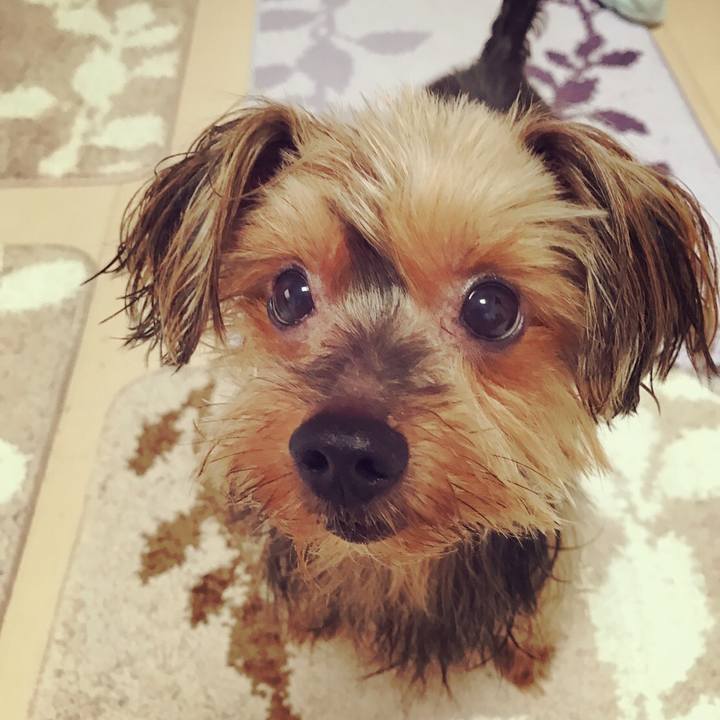 Cc38c3be 9a7a 47a2 a9ef f011c8fac990