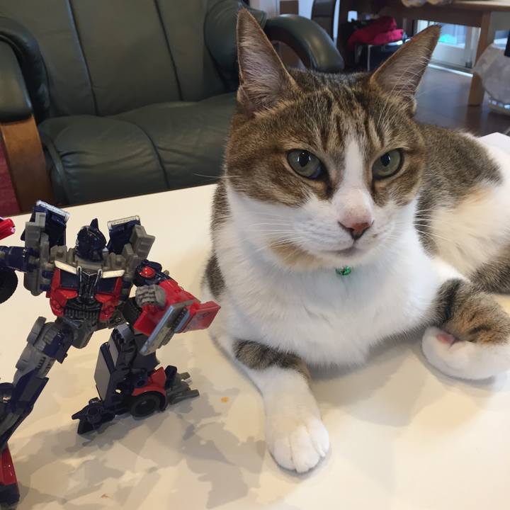 Cc391705 956e 4cec a8e6 ad85d5ed45d5