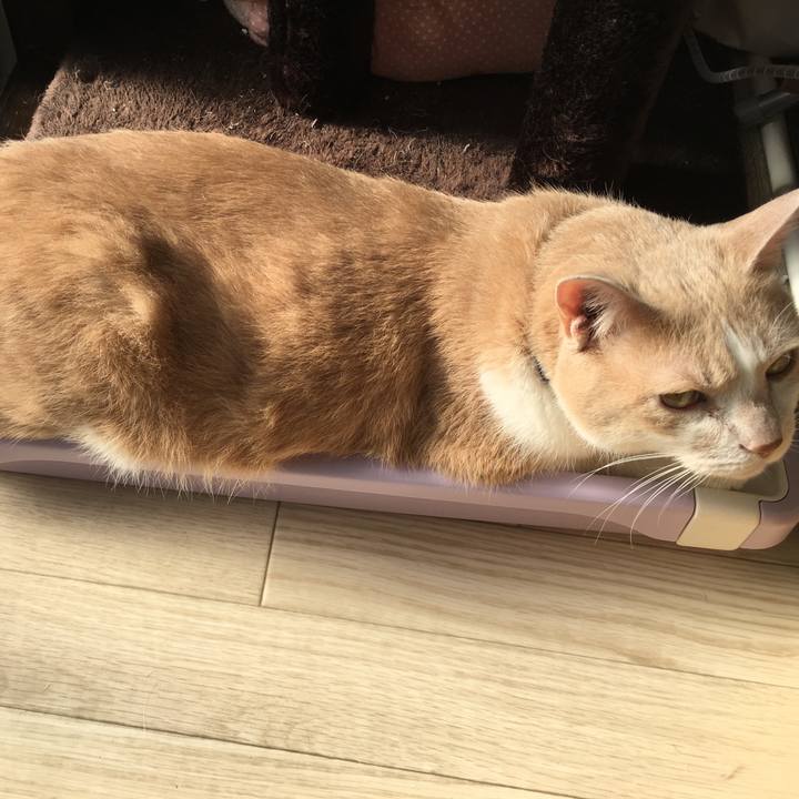 Cc39d85a 2856 47e4 8401 880753ffcb14