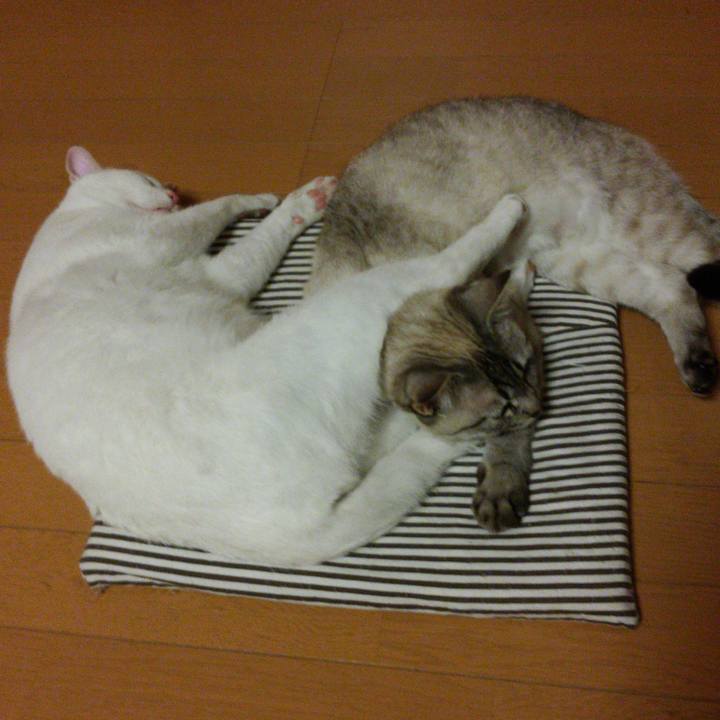 Cc39f296 8933 44ad 8999 4f34fee901ce