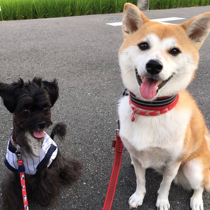 Cc3aaa21 e46e 4d2f 8289 c805364964c9