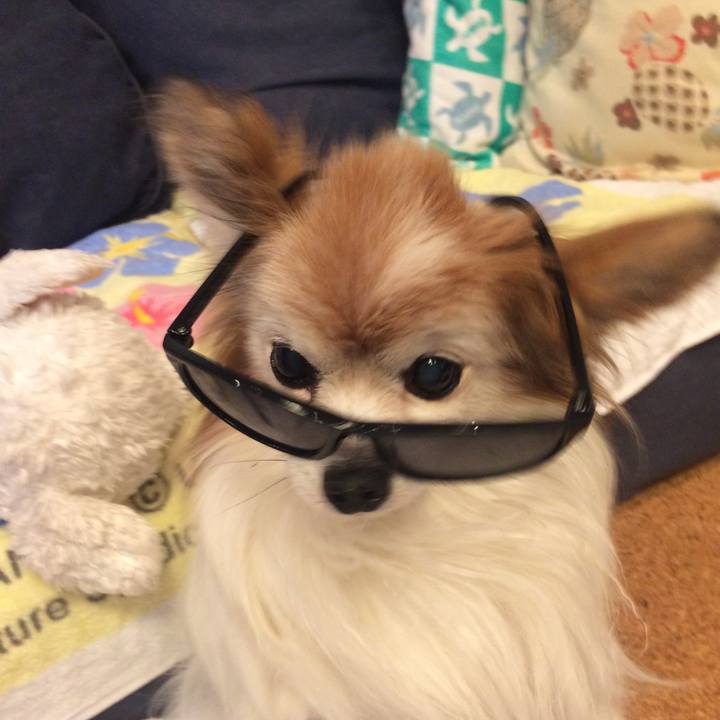 Cc3ac97b 6abe 46c8 893d 8dc999cb0d8b