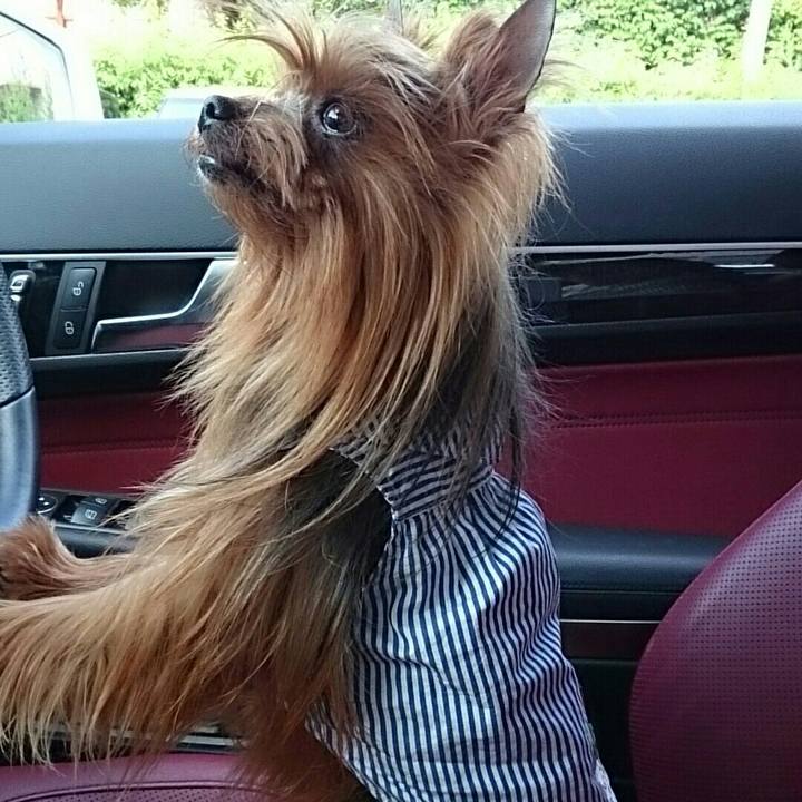 Cc3ad9c7 f170 42ae 9b1a 9c1eb73867b9