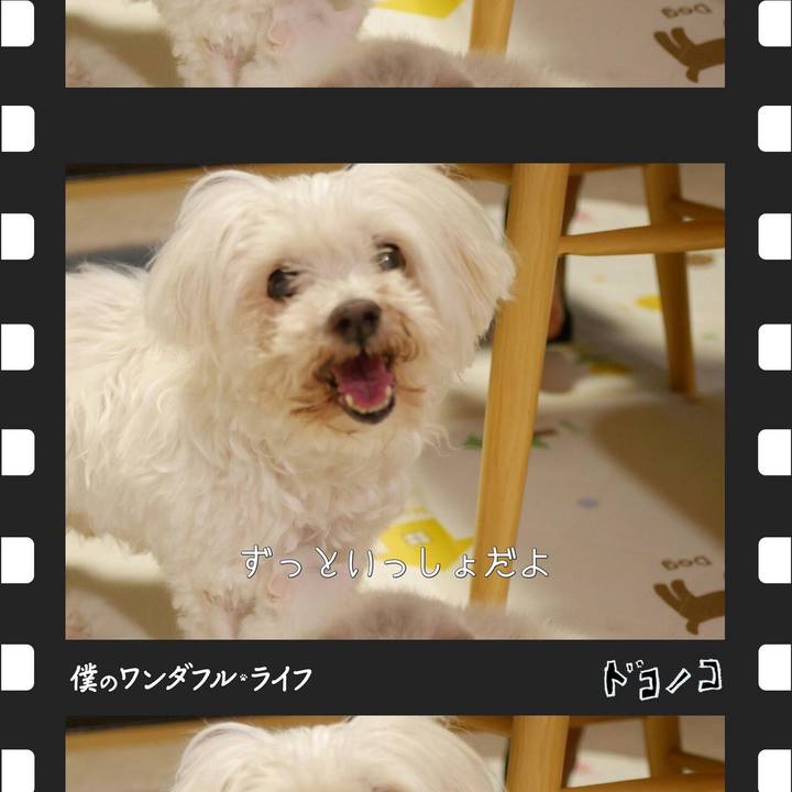 Cc3b5ddd a8e1 47bf aaf4 c54cb10faa08