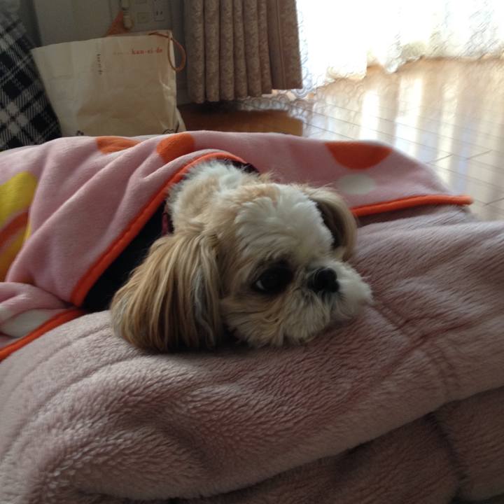 Cc3c3fd5 b187 492a ba02 c87643525aff