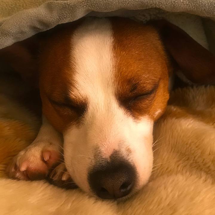 Cc3cccbb 8df5 4d25 a6ab 255153c29f2c