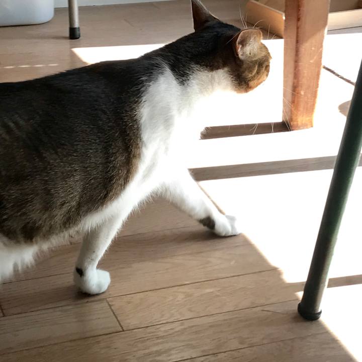 Cc3d7b93 adf3 4832 a316 c12e867edbb7